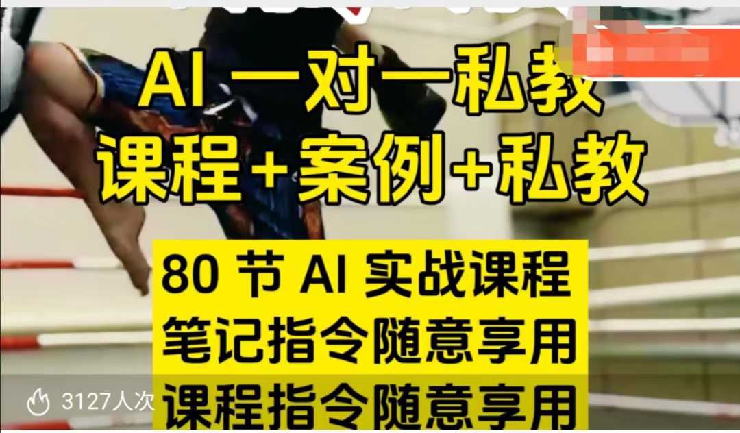 AI指令实战课，课程+案例，80节AI实战课程，笔记指令随意享用，课程指令随意享用（更新7月）-站源网