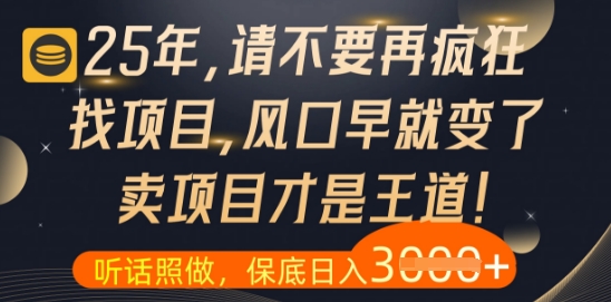 什么？25年你还在疯狂找项目做，醒醒吧，看完这些你全都懂了【揭秘】-站源网