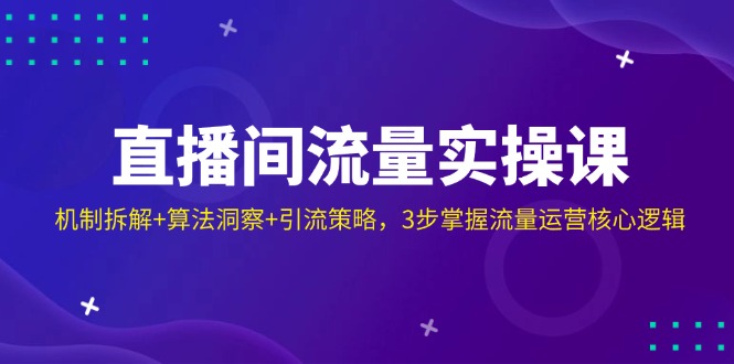 直播间流量实操课：机制拆解+算法洞察+引流策略，3步掌握流量运营核心逻辑-站源网