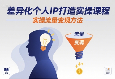 差异化个人IP打造实操课程，实操流量变现方法-站源网