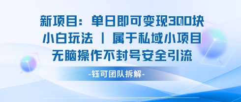 新项目单日即可变现3张的小白玩法无脑操作不封号安全引流-站源网