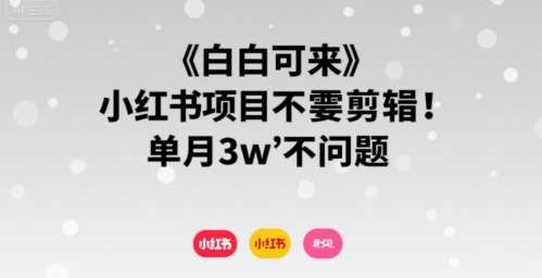 小白可来 小红书项目不需要剪辑 单月3w不是问题-站源网