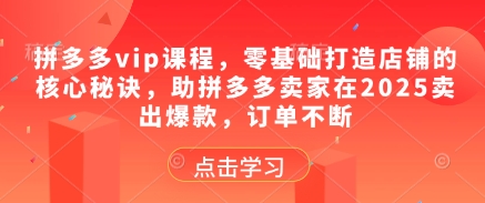 拼多多vip课程，零基础打造店铺的核心秘诀，助拼多多卖家在2025卖出爆款，订单不断-站源网