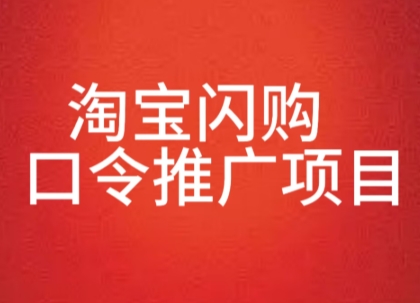 淘宝闪购口令推广项目，收益可观，一部手机，一个抖音号即可操作-站源网