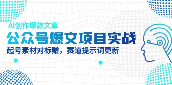公众号爆文项目实战，AI创作爆款文章，起号素材对标赠(附赛道AI提示词-站源网