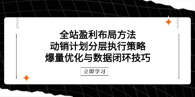 全站盈利布局方法：动销计划分层执行策略，爆量优化与数据闭环技巧-站源网
