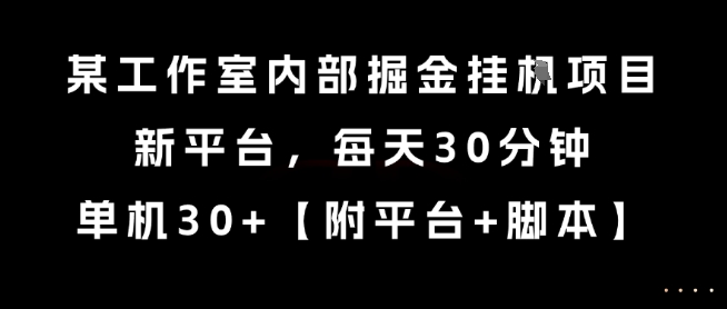 某工作室内部掘金挂G项目，新平台，每天30分钟，单机30+【揭秘】-站源网