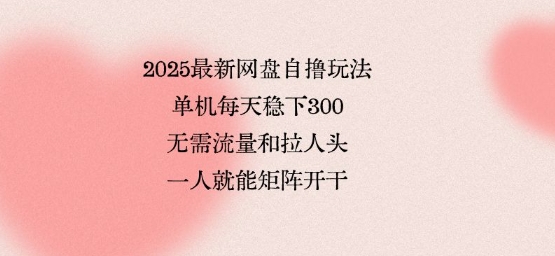 2025最新网盘自撸玩法，单机每天稳下3张，无需流量和拉人头，一个人就可轻松矩阵，全网独一份【揭秘】-站源网