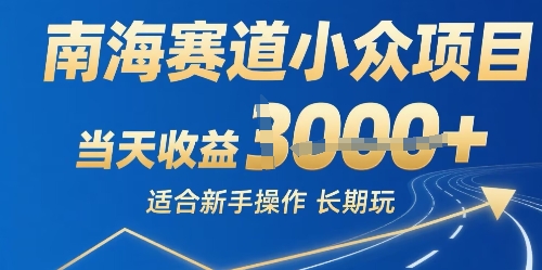南海赛道小众项目，当天收益1k+适合新手操作可以长期玩-站源网