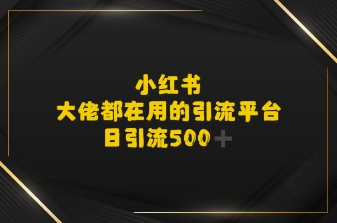 小红书，大佬都在用的大粉平台，日引流500+-站源网