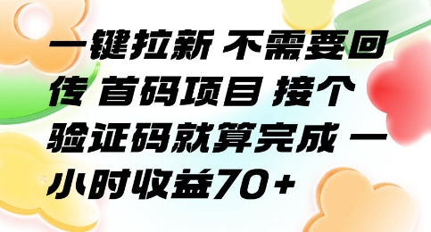 一键拉新 不需要回传 首码项目 接个验证码就算完成 一小时收益70+【揭秘】-站源网