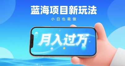 小红书蓝海项目新玩法，一部手机即可月入过W，推荐小白做非常简单认可度超高-站源网