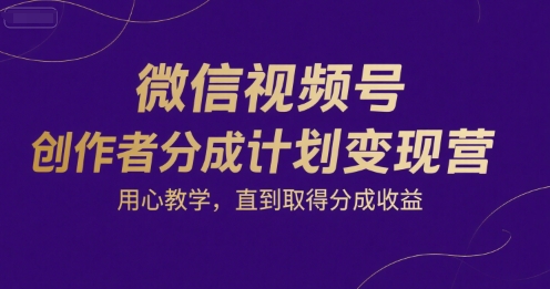 微信视频号创作者分成计划变现营，用心教学，直到取得分成收益-站源网