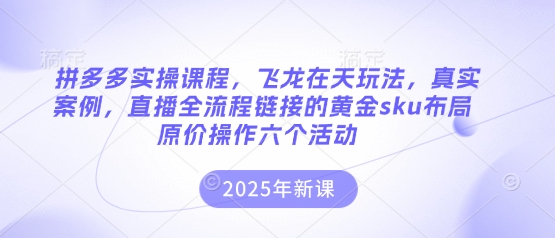 拼多多实操课程，飞龙在天玩法，真实案例，直播全流程链接的黄金sku布局原价操作六个活动-站源网