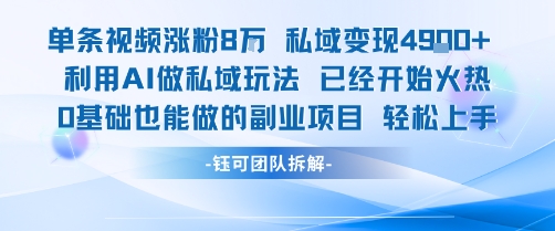单条视频私域变现4.9k+利用AI做私域玩法 已经开始火热0基础也能做的副业项目轻松上手-站源网