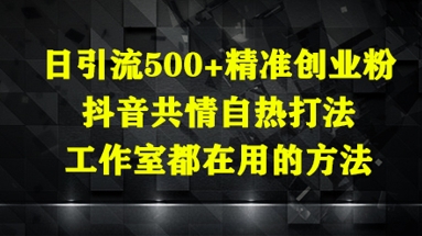 日引流500+精准创业粉，抖音共情自热打法，工作室都在用的方法-站源网