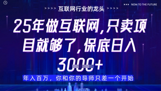 什么！25年你还在找项目做？风口早就变了，卖项目才是稳挣不赔【揭秘】-站源网