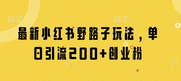 最新小红书野路子玩法，单日引流200+创业粉-站源网