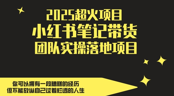 2025超火项目，副业最佳选择，小红书笔记带货团队实操落地项目，，轻松日入5张-站源网