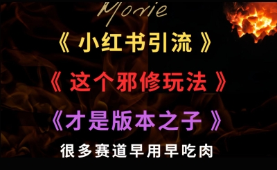 最近小红书引流这个邪修玩法才是版本之子，很多赛道早用早吃肉-站源网