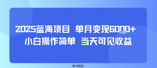 2025蓝海项目 单月变现6k+ 小白操作简单 当天可见收益-站源网