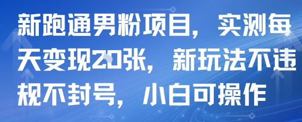 新跑通男粉项目，实测每天变现多张，新玩法不违规不封号，小白可操作-站源网