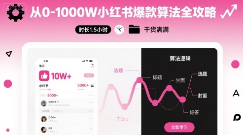 从0-1000W小红书爆款算法全攻略，时长1.5小时，干货满满-站源网