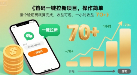 首码一键拉新项目，操作简单，接个验证码就算完成，收益可观， 一小时收益70+【揭秘】-站源网