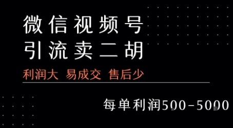 视频号卖二胡教程，利润大 易成交 售后少，一单利润5张+-站源网