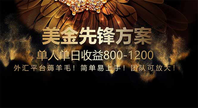 免费技术！小众赛道！一年布局抵三年努力，每日800+-站源网