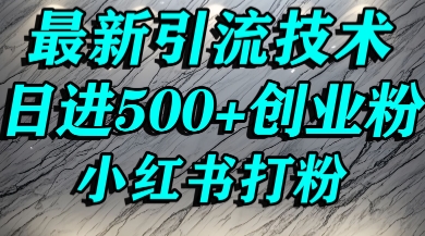 小红书精准引流创业粉，前辈求带孩子走投无路了，单人操作日引500+精准创业粉-站源网