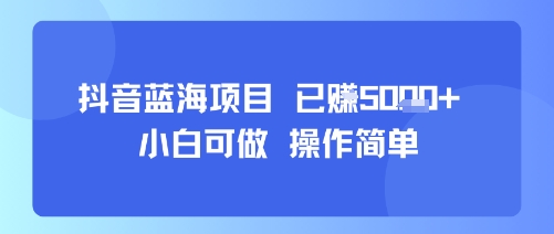 抖音蓝海项目，小白可做，操作简单，可批量制作，已挣5k+-站源网