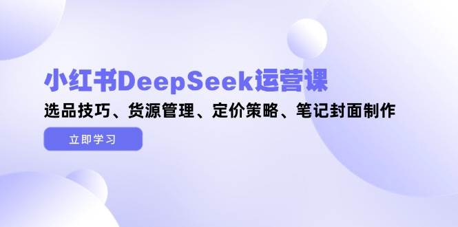 小红书DeepSeek运营课，选品技巧、货源管理、定价策略、笔记封面制作-站源网