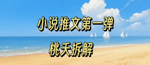 小说推文项目操作全流程第一弹，0粉就能做，门槛低非常适合新手-站源网