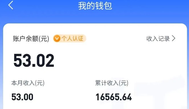 适合空闲时间操作的小红书低保项目，小红薯发布笔记，单个账号每天可获得2-12元左右-站源网