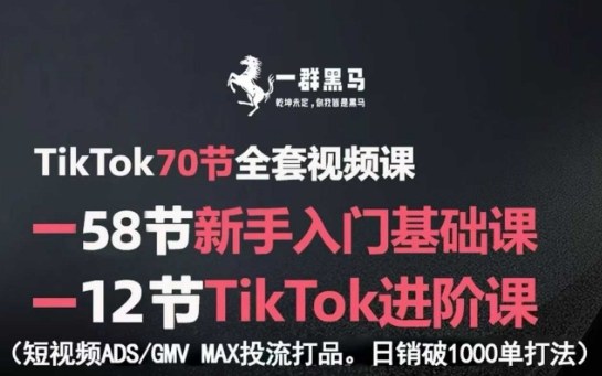 TikTok全套视频课，新手入门+进阶课，短视频ADS-GMV MAX投流打品，日销破1000单打法-站源网