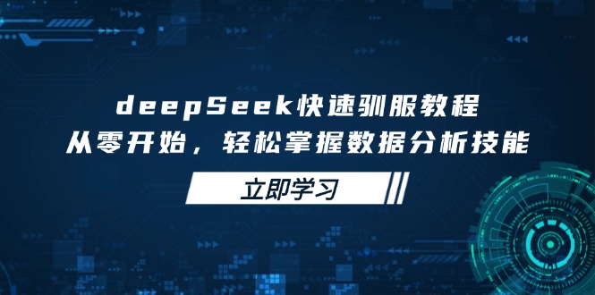 deepSeek快速驯服教程，从零开始，轻松掌握数据分析技能-站源网