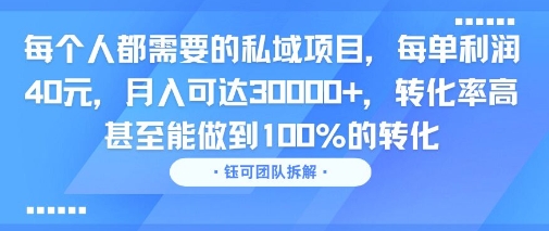 每个人都需要的私域项目，每单利润40米，月入可达3W+，转化率高 甚至能做到100%的转化-站源网