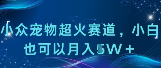 小众宠物超火赛道，小白也可以月入1w+-站源网