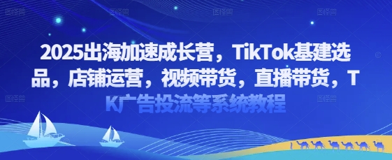 2025出海加速成长营，TikTok基建选品，店铺运营，视频带货，直播带货，TK广告投流等系统教程-站源网