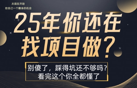 25年，你还在疯狂的找项目吗？别傻了，看完这个你都懂了【揭秘】-站源网