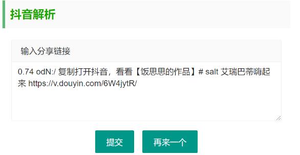 抖音无水印视频解析 html源码-站源网