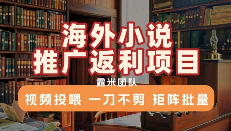 海外小说推广返利项目，视频投喂， 一刀不剪，矩阵批量-站源网