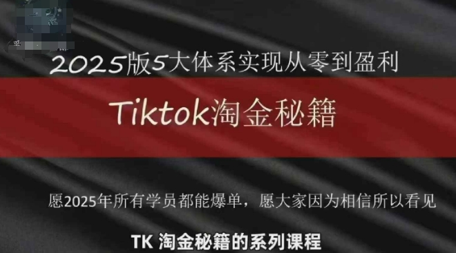 TikTok跨境2025淘金秘籍，​2025TikTok从0到盈利变现-站源网