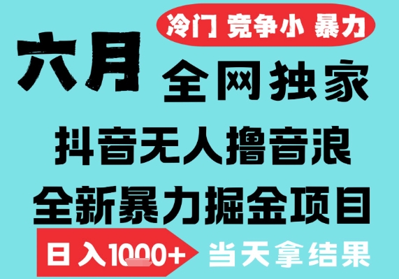 2025年6月高爆抖音无人直播最新撸音浪掘金项目，无脑日入1k+，低门槛小白可做，可矩阵放大【揭秘】-站源网