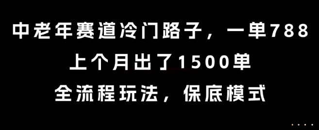 中老年赛道冷门路子，一单788，上个月出了1500单，全流程玩法，保底模式【揭秘】-站源网