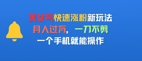 美女号快速涨粉新玩法，月入过W，一刀不剪，一个手机就能操作-站源网