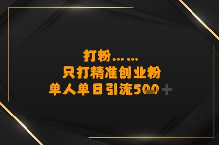 打粉只打精准创业粉，单人单日引流500+-站源网