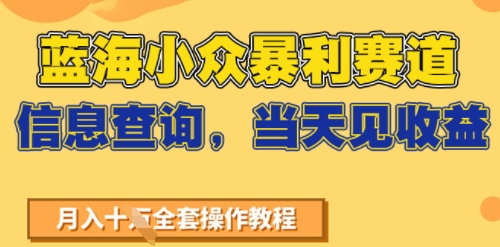 蓝海小众暴利赛道，信息查询，当天见收益，不讲玄学，7天搞了2W+-站源网