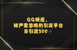 引流蓝海QQ频道，日引500+创业粉-站源网